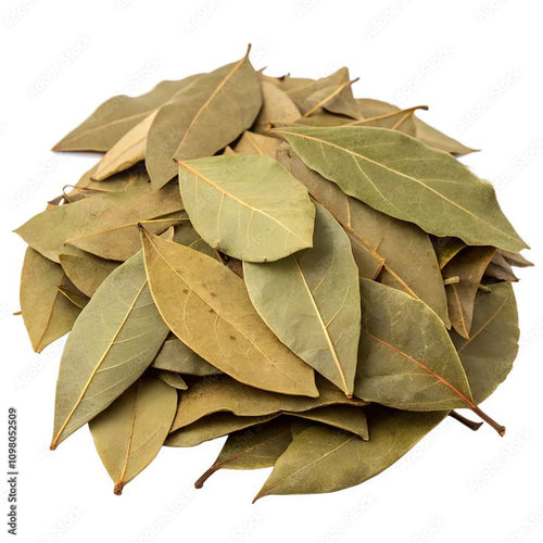 Bay leaf(Tej patta)