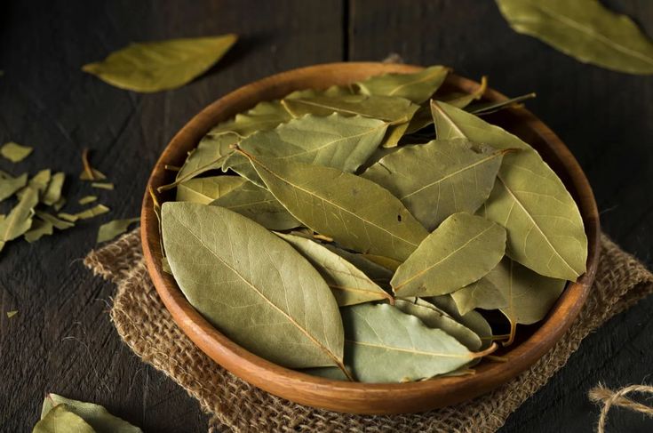 Bay leaf(Tej patta)
